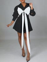 Two-Tone Tied Shirt Dress