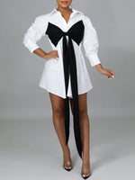 Two-Tone Tied Shirt Dress